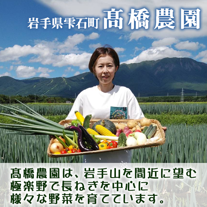 岩手県産 極楽野 長ねぎ 2kg 以上 目安本数約 20本 家庭用 【高橋農園】／ 長ネギ 長葱 ねぎ ネギ 葱 白ねぎ 白ネギ 白葱 新鮮 野菜 やさい 人気野菜 国産 EM栽培 産地直送 農家直送 季節限定 期間限定 人気 薬味 鍋 串焼き おすすめ