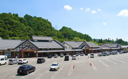 雫石の地酒 清酒 しずくいし 純米吟醸酒 1800ml 【あねっこ】 日本酒 地酒 酒 吟醸酒 定番 １８００ｍｌ 1本 １本 道の駅 産直 人気 特産品 名産 名産品 お土産 土産 手土産 お取り寄せ プレゼント プチギフト 贈り物 家庭用 自宅用 一升瓶 一升 おすすめ