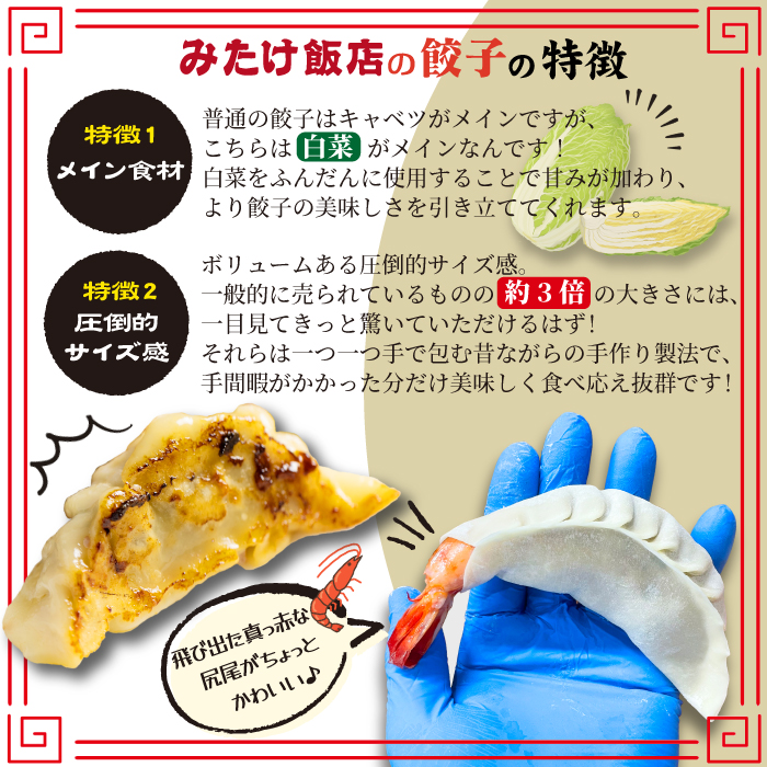 冷凍生餃子 【肉餃子12個＋えび餃子9個】 ／ 餃子 ぎょうざ ギョウザ ギョーザ 中華惣菜 【みたけ飯店の餃子】