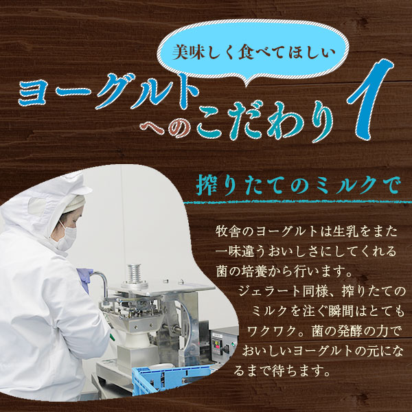 年間20万人が来店 搾りたて牛乳で作る 松ぼっくり 飲むヨーグルト 加糖 150ml 15本 ／ ヨーグルト のむヨーグルト セット お取り寄せ 詰め合わせ 詰合せ 詰め合せ 詰合わせ 人気 人気店 国産 行列 行列店 おすすめ 飲みきり 飲み切り
