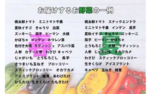 野菜ソムリエ “産直松の実の松原店長” 厳選 旬菜野菜BOX（8品～10品） ／ 人気 産直 採れたて 野菜