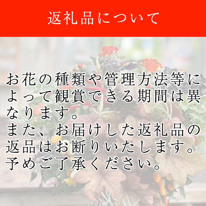 【 2026年 3月より発送開始】東北最大級のガーデニング専門店 厳選 『季節の寄せ植え』 4種類 ～ 6種類 【花工房らら倶楽部】 花 生花 フラワー 植物 観葉植物 寄せ植え 季節 鉢植え 鉢 ポット ガーデニング 庭 玄関 ベランダ 国産 産地直送 期間限定 人気 おすすめ 予約 早期予約 先行予約