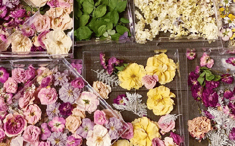 キャンドル２種詰合せセット《角柱》（自家製花使用）【hanamiyuki】 / フラワーキャンドル ろうそく ギフト プレゼント