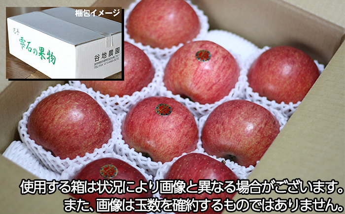 フルーツ大国！ 岩手県産 贈答用 りんご サンふじ 5kg 【谷地農園】 林檎 リンゴ アップル さんふじ サンフジ 果物 くだもの フルーツ ギフト プチギフト 贈り物 贈答 仕送り 冬 旬 新鮮 季節 国産 5キロ セット 詰め合わせ 詰合せ 詰め合せ 詰合わせ 人気 おすすめ