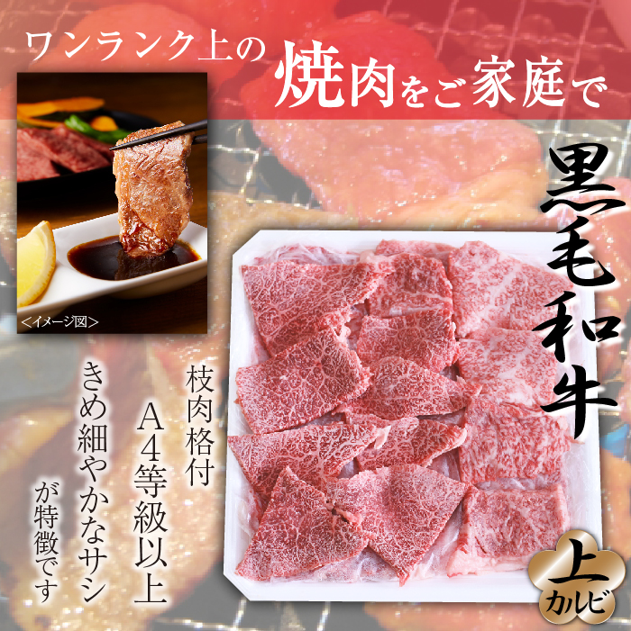 国産 最高級 黒毛和牛 雫石牛 上カルビ 500g 【九戸屋肉店】 牛 肉 和牛 いわて牛 岩手牛 高級 牛肉 Ａ4 ビーフ カルビ かるび 牛カルビ 500グラム 霜降り 霜降り肉 人気 焼き肉 焼肉 やきにく BBQ バーベキュー 炒め物 おすすめ 贈り物 プレゼント お取り寄せ