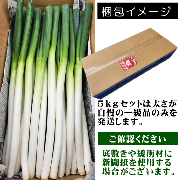 岩手県産 極楽野 長ねぎ 5kg 以上 目安本数約 25本 ～ 35本 【高橋農園】／ 長ネギ 長葱 ねぎ ネギ 葱 白ねぎ 白ネギ 白葱 新鮮 野菜 やさい 人気野菜 国産 EM栽培 産地直送 農家直送 季節限定 期間限定 人気 薬味 鍋 串焼き おすすめ