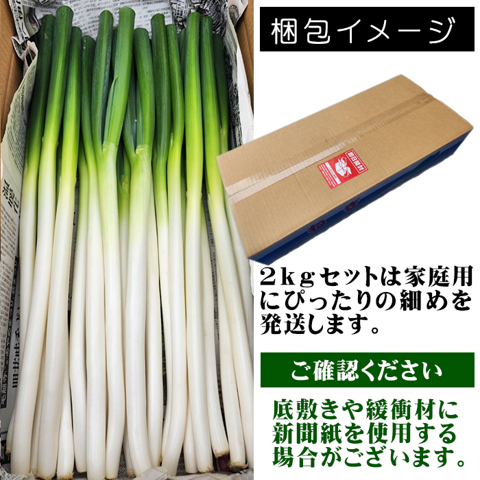 岩手県産 極楽野 長ねぎ 2kg 以上 目安本数約 20本 家庭用 【高橋農園】／ 長ネギ 長葱 ねぎ ネギ 葱 白ねぎ 白ネギ 白葱 新鮮 野菜 やさい 人気野菜 国産 EM栽培 産地直送 農家直送 季節限定 期間限定 人気 薬味 鍋 串焼き おすすめ