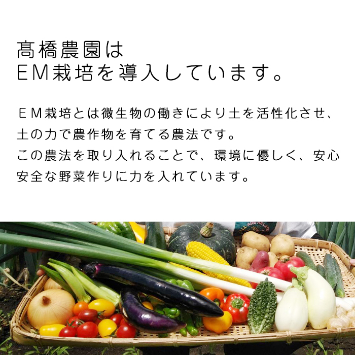 岩手県産 極楽野 土付き 長ねぎ 2kg 以上 目安本数約 15本 ～ 20本 家庭用 【高橋農園】／ 長ネギ 長葱 ねぎ ネギ 葱 白ねぎ 白ネギ 白葱 新鮮 野菜 やさい 人気野菜 国産 EM栽培 産地直送 農家直送 季節限定 期間限定 人気 薬味 鍋 串焼き おすすめ