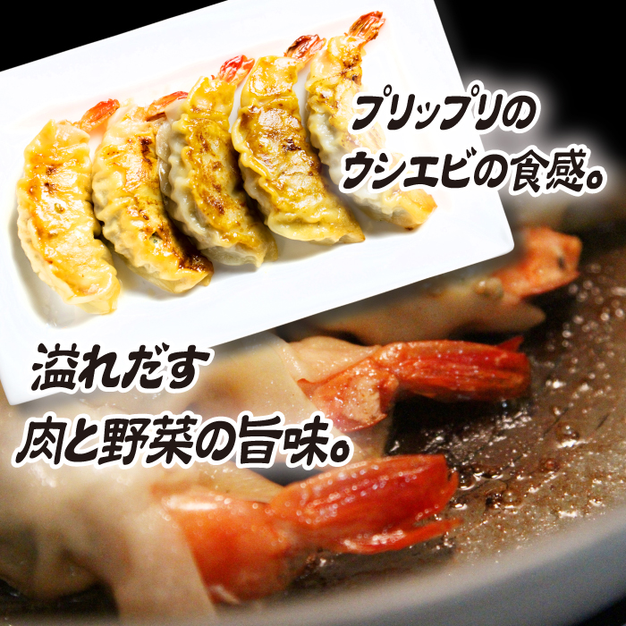 雫石町産野菜使用！冷凍生餃子 【肉餃子5個＋えび餃子5個】 ／ 餃子 ぎょうざ ギョウザ ギョーザ 中華惣菜 【みたけ飯店の餃子】