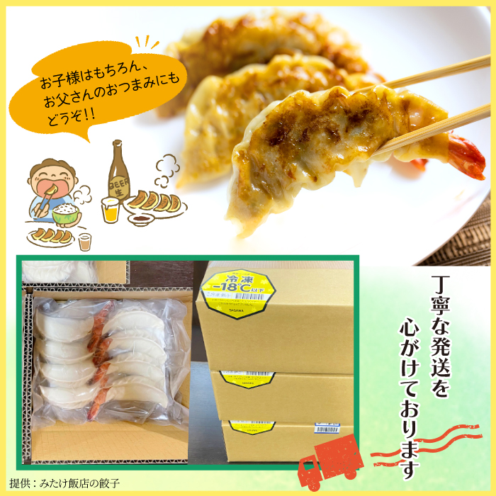冷凍生餃子 【肉餃子12個＋えび餃子9個】 ／ 餃子 ぎょうざ ギョウザ ギョーザ 中華惣菜 【みたけ飯店の餃子】