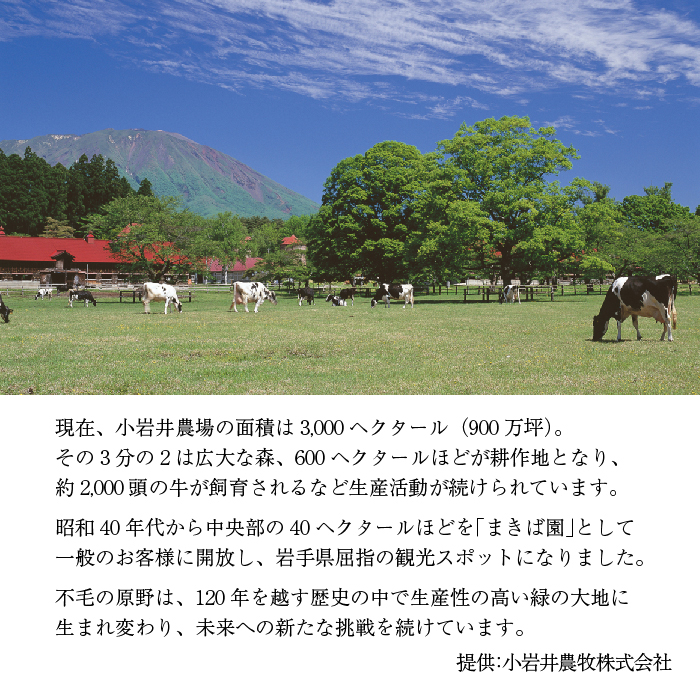 小岩井農場 まきばの チーズケーキ 収穫祭 ／ ベイクドチーズケーキ フルーツケーキ チーズ ケーキ フルーツ ドライフルーツ ホールケーキ ギフト プチギフト 贈答用 贈り物 プレゼント お祝い パーティー お取り寄せ 人気 スイーツ デザート おやつ お菓子 菓子 おすすめ