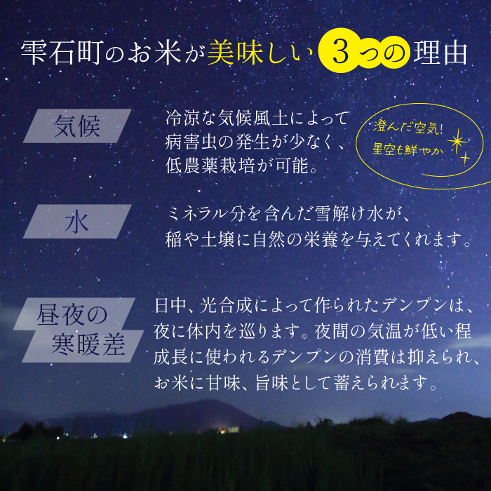 岩手県産 新米 あきたこまち 玄米 5kg 2袋 総量 10kg 3ヶ月 定期便 【わかふじ農産】 米 お米 こめ コメ ライス ご飯 ごはん 贈り物 単一原料米 国産 仕送り お取り寄せ 産地直送 農家直送 数量限定 人気 おすすめ 5キロ 10キロ 3カ月 3か月 3ヵ月 3ケ月