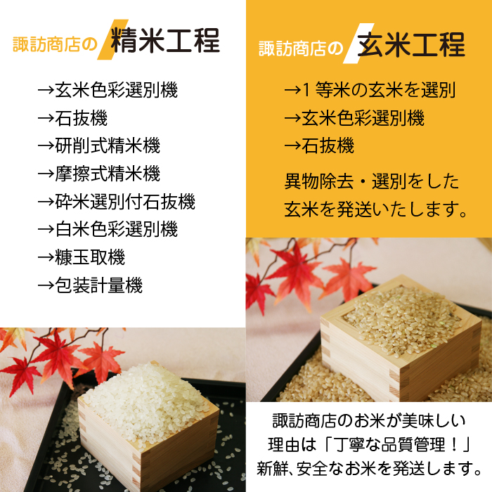 五ツ星お米マイスター 厳選 雫石町産 新米 銀河のしずく 精米 5kg 1袋 6ヶ月 定期便 【諏訪商店】 米 こめ コメ 白米 ご飯 ごはん ライス グルメ 食料 五つ星 5つ星 5ツ星 お米 マイスター 5キロ 6カ月 6か月 6カ月 総量 30kg 30キロ 国産 岩手県産 産地直送 プレゼント お取り寄せ 仕送り 人気 おすすめ