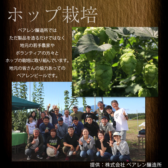 ベアレンビール レモンラードラー 訳あり 350ml 24缶 ／ 酒 ビール クラフトビール 地ビール 発泡酒 缶ビール 訳あり ２４本 24本 レモン ラードラー フルーツビール 低アルコール レモネード お酒 自宅用 家庭用 国産 国内製造 お取り寄せ 人気 おすすめ