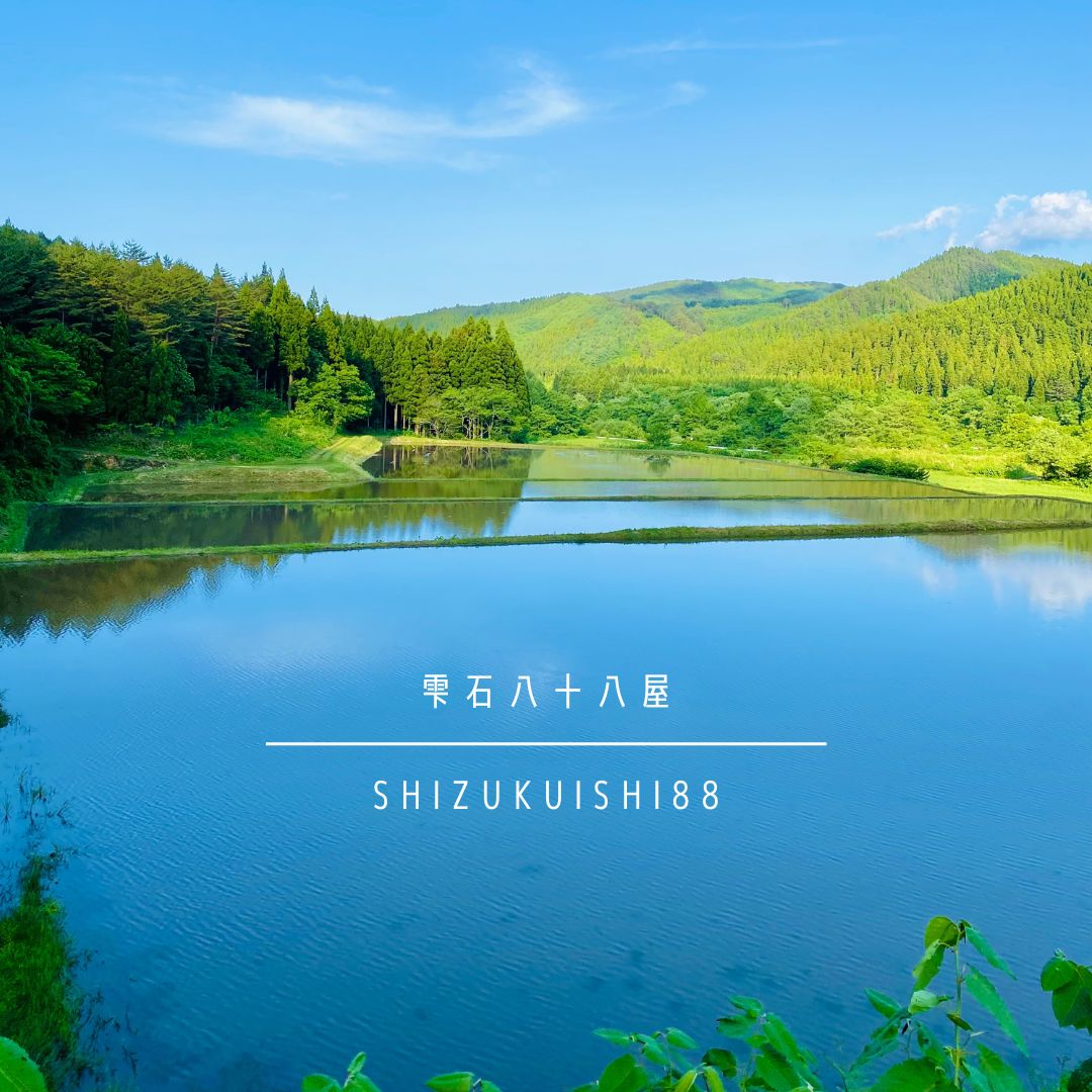 岩手県産 大粒厳選 ひとめぼれ 精米 10kg 【雫石八十八屋】 節減対象農薬：岩手県地域比5割減 化学肥料（窒素成分）：岩手県地域比5割減 ／ 米 こめ コメ 白米 10キロ １０ｋｇ 産地直送 農家直送 数量限定 仕送り 人気 おすすめ