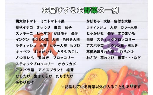 野菜ソムリエ “産直松の実の松原店長” 厳選 旬菜野菜BOX（8品～10品） ／ 人気 産直 採れたて 野菜