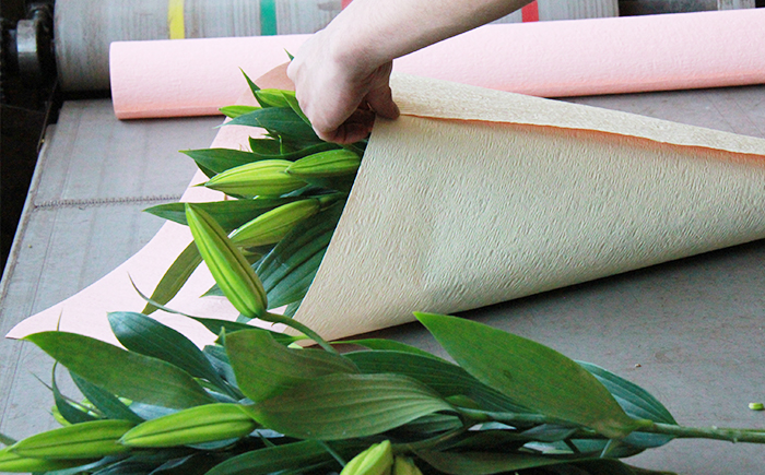 ユリ専門農家 猿子園芸 が贈る 雫石町産 白色 ユリ 20輪 以上 4本 ～ 5本 鑑賞用 ／ ゆり 百合 白 花 お花 花き 生花 フラワー フラワーアレンジメント プレゼント ギフト フラワーギフト 祝い花 お祝い 贈り物 HANA 花束 鑑賞 人気 おすすめ