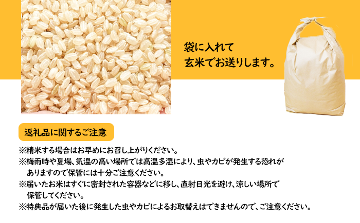 数量限定 岩手県産 銀河のしずく 玄米 10kg 6ヶ月 定期便 【ユニティファーム】 米 こめ コメ スーパーフード ヘルシー ごはん ご飯 ライス 国産 産地直送 農家直送 期間限定 おにぎり 弁当 おすすめ 人気 10キロ １０ｋｇ １０キロ 単一原料米 仕送り 6カ月 6か月 6ヵ月 6か月