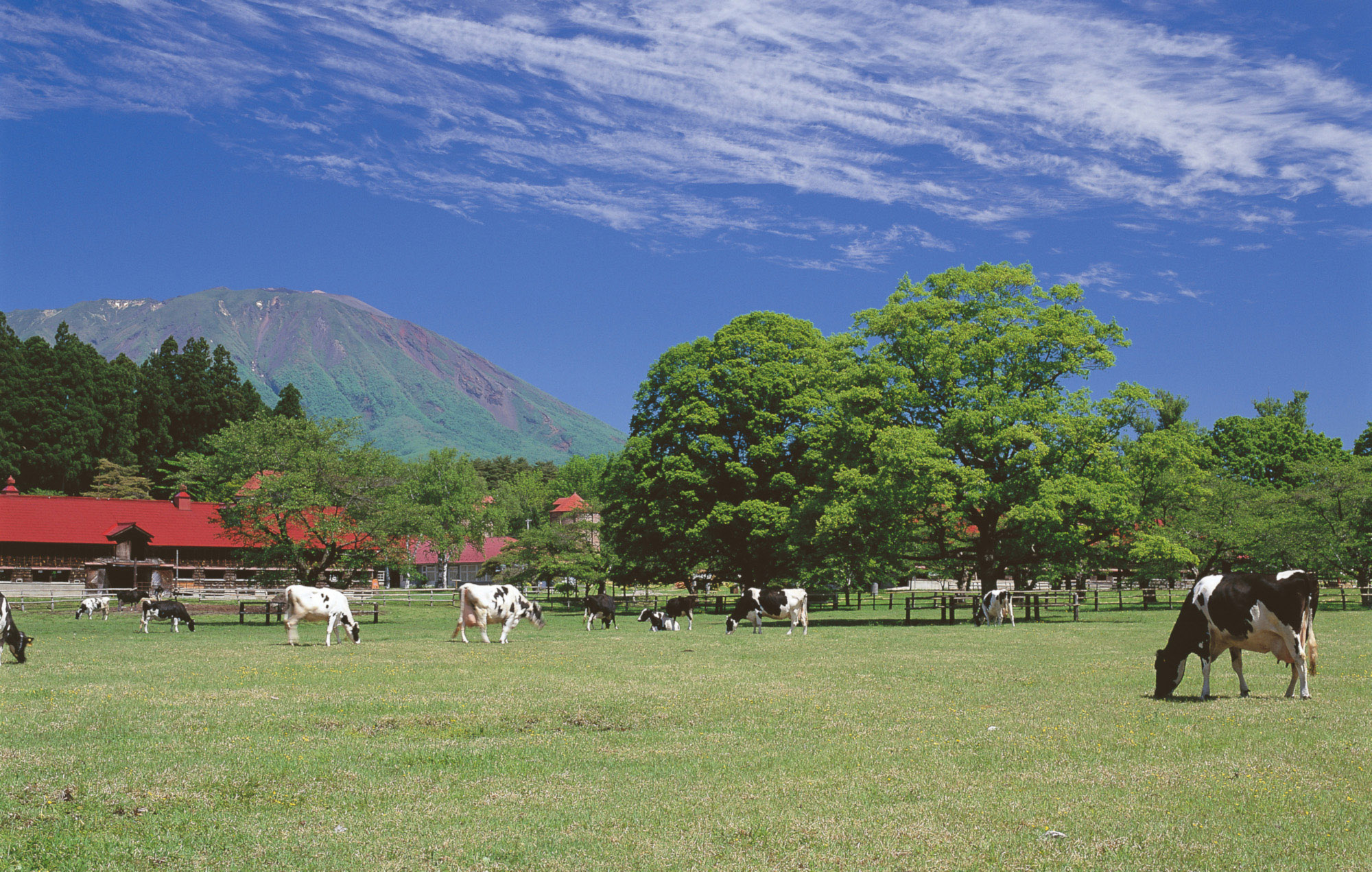 小岩井農場 厳選素材 カレー ディナー セット 6食 ／ 人気 ビーフカレー カレーライス カリー レトルトカレー レトルト 中辛 クリームチーズ チーズカレー 2種類 食べ比べ お取り寄せ ギフト プチギフト 贈答用 贈り物 プレゼント お祝い 国産 ビーフ 牛肉 お土産 手土産 誕生日 記念日 常温発送 おすすめ