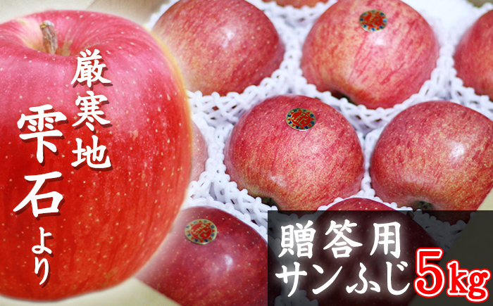 フルーツ大国！ 岩手県産 贈答用 りんご サンふじ 5kg 【谷地農園】 林檎 リンゴ アップル さんふじ サンフジ 果物 くだもの フルーツ ギフト プチギフト 贈り物 贈答 仕送り 冬 旬 新鮮 季節 国産 5キロ セット 詰め合わせ 詰合せ 詰め合せ 詰合わせ 人気 おすすめ