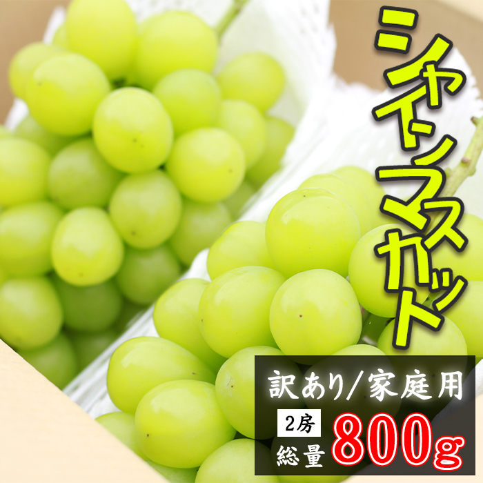 フルーツ大国！ 岩手県産 家庭用 訳あり シャインマスカット 2房 総量 800g 以上 【谷地農園】 ぶどう ブドウ 葡萄 マスカット 果物 くだもの フルーツ わけあり 訳アリ ワケアリ 自宅用 仕送り 冬 旬 季節 国産 セット 詰め合わせ 詰合せ 詰め合せ 詰合わせ 人気 おすすめ