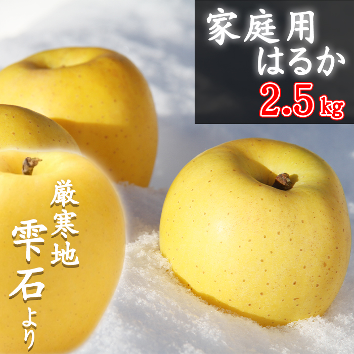 フルーツ大国！ 岩手県産 家庭用 りんご はるか 2.5kg 【谷地農園】 林檎 リンゴ アップル ハルカ 果物 くだもの フルーツ 贈り物 仕送り 自宅用 冬 旬 新鮮 季節 国産 2.5キロ セット 詰め合わせ 詰合せ 詰め合せ 詰合わせ 人気 おすすめ