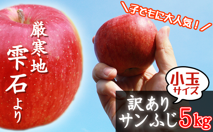 フルーツ大国！ 岩手県産 訳あり 家庭用 りんご サンふじ 小玉 5kg 【谷地農園】 林檎 リンゴ アップル 訳アリ わけあり ワケアリ さんふじ サンフジ 果物 くだもの フルーツ 贈り物 仕送り 自宅用 冬 旬 新鮮 季節 国産 5キロ セット 詰め合わせ 詰合せ 詰め合せ 詰合わせ 人気 おすすめ