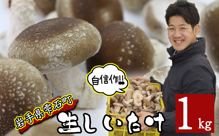 国産 岩手県産 肉厚 生しいたけ 1kg 【さくらだファーム】 椎茸 しいたけ シイタケ きのこ 茸 キノコ 野菜 やさい １ｋｇ 1キロ １キロ 出汁 だし ダシ 旨味 鍋 なべ 煮物 煮込み 七輪 焼き物 串焼き 素焼き ＢＢＱ BBQ 人気 おすすめ