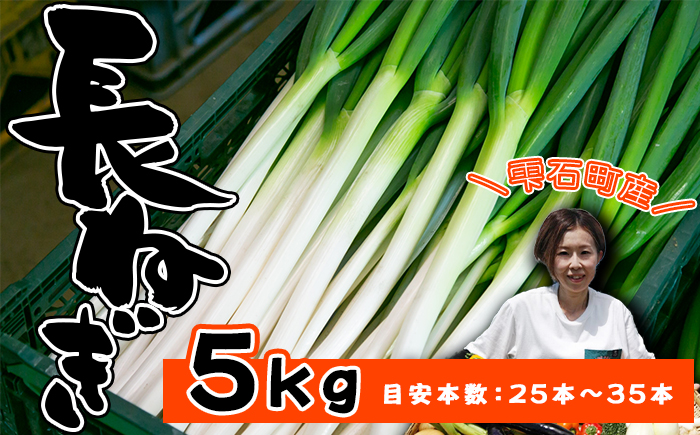 岩手県産 極楽野 長ねぎ 5kg 以上 目安本数約 25本 ～ 35本 【高橋農園】／ 長ネギ 長葱 ねぎ ネギ 葱 白ねぎ 白ネギ 白葱 新鮮 野菜 やさい 人気野菜 国産 EM栽培 産地直送 農家直送 季節限定 期間限定 人気 薬味 鍋 串焼き おすすめ
