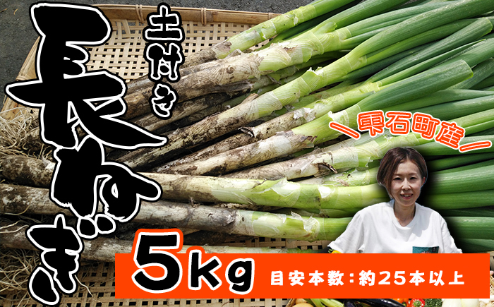 岩手県産 極楽野 土付き 長ねぎ 5kg 以上 目安本数約 25本 以上【高橋農園】／ 長ネギ 長葱 ねぎ ネギ 葱 白ねぎ 白ネギ 白葱 新鮮 野菜 やさい 人気野菜 国産 EM栽培 産地直送 農家直送 季節限定 期間限定 人気 薬味 鍋 串焼き おすすめ