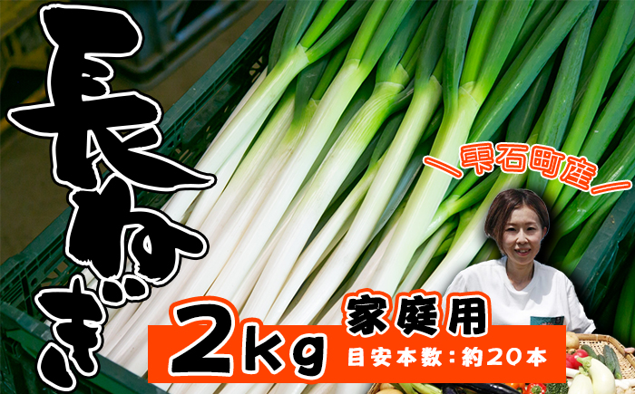 岩手県産 極楽野 長ねぎ 2kg 以上 目安本数約 20本 家庭用 【高橋農園】／ 長ネギ 長葱 ねぎ ネギ 葱 白ねぎ 白ネギ 白葱 新鮮 野菜 やさい 人気野菜 国産 EM栽培 産地直送 農家直送 季節限定 期間限定 人気 薬味 鍋 串焼き おすすめ