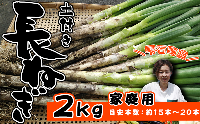 岩手県産 極楽野 土付き 長ねぎ 2kg 以上 目安本数約 15本 ～ 20本 家庭用 【高橋農園】／ 長ネギ 長葱 ねぎ ネギ 葱 白ねぎ 白ネギ 白葱 新鮮 野菜 やさい 人気野菜 国産 EM栽培 産地直送 農家直送 季節限定 期間限定 人気 薬味 鍋 串焼き おすすめ