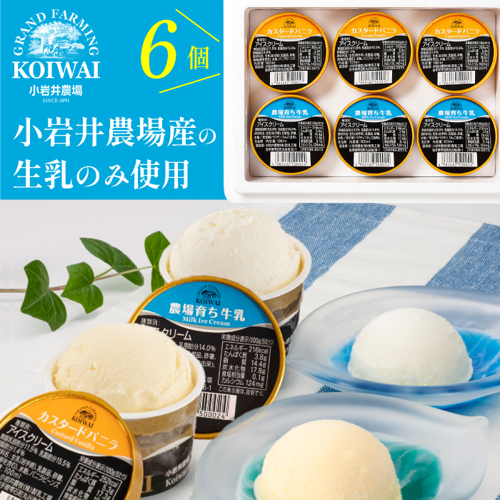 小岩井農場 アイスクリーム 6個 セット ／ 人気 スイーツ デザート アイス カスタード バニラ ミルク 牛乳 2種類 食べ比べ おやつ お菓子 おかし 個包装 小分け お取り寄せ ギフト プチギフト 贈答用 贈り物 プレゼント お祝い パーティー お土産 手土産 誕生日 記念日 冷凍 おすすめ