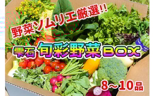 野菜ソムリエ “産直松の実の松原店長” 厳選 旬菜野菜BOX（8品～10品） ／ 人気 産直 採れたて 野菜