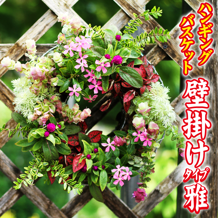 【 2026年 3月より発送開始】東北最大級のガーデニング専門店 厳選 『ハンギングバスケット』雅 壁掛けタイプ 8種類 ～ 10種類 【花工房らら倶楽部】 花 生花 フラワー 植物 観葉植物 バスケット 季節 インテリア ガーデニング 庭 玄関 ベランダ 国産 産地直送 期間限定 人気 おすすめ 予約 早期予約 先行予約