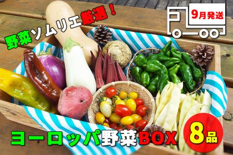 [早期予約受付] 野菜ソムリエ“産直松の実の松原店長"厳選!ヨーロッパ野菜BOX 8品 / 人気 産直 採れたて 野菜