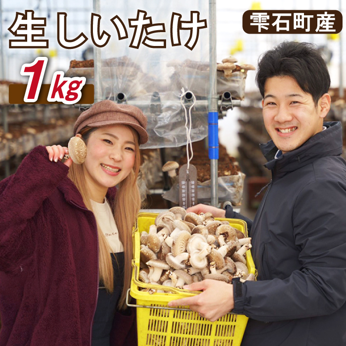 しいたけ嫌いも食べられる!! 雫石町産「生しいたけ」1kg[さくらだファーム]