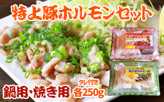 特上豚ホルモン 鍋用・塩焼き用セット[さくら亭]/ ホルモン鍋 塩焼き 豚肉 ホルモン