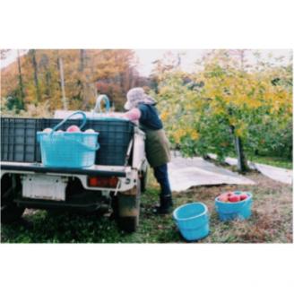 ストレート りんご ジュース 荒搾り ３本入り リンゴ 100％ フルーツ 果物 じゅーす ドリンク リンゴジュース 瓶ジュース