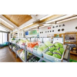 岩手町産の旬野菜セット 野菜 旬 やさい 新鮮 採れたて 詰合せ セット おまかせ