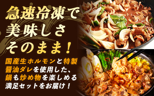 岩手のとうちゃんかあちゃんの店岩手ホルモン鍋＆ホルモン焼セット 鍋 ホルモン焼 セット ホルモン 黒みそ お手軽 簡単調理 肉 お肉 豚肉 おかず おつまみ バーベキュー 冷凍 岩手県 岩手町 佐藤精肉店