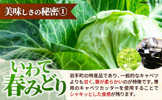 【キャベツの街】野菜たっぷり！しんいちろう餃子（12個入×4箱）【48個】お肉 おかず やまと豚 肉 焼き 中華 人気 餃子 ギョーザ ぎょうざ ギョウザ 豚肉 おつまみ 惣菜 岩手県 岩手町 4箱（48個）　￥10,000