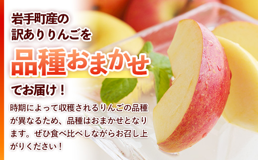 【訳あり】岩手町産りんご詰め合わせ約5kg 令和7年産 訳アリ 家庭用 規格外 不揃い りんご リンゴ サンふじ シナノゴールド シナノスイート 北斗 5kg フルーツ 果物 くだもの アップル 甘み 酸味 ジューシー セット 詰め合わせ 道の駅 産直 直送 岩手産 岩手町産 岩手県 岩手町 ふるさと振興公社