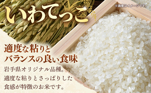 令和7年産岩手町産いわてっこ精米 10kg 米 白米 ごはん 新鮮 粘り 甘み おすすめ 銘柄 送料無料 農家直送 こめ 岩手 岩手町 岩手県 Mふぁ～む