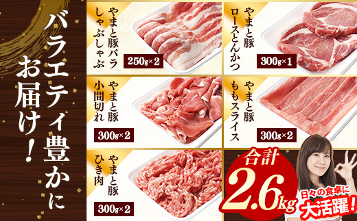 岩手県産やまと豚5種約2.6kg 国産 肉 豚肉 やまと豚 鍋 焼肉 豚ロース 豚バラ 豚こま モモスライス ひき肉 とんかつ 生姜焼き しゃぶしゃぶ 真空パック 小分け 冷凍 岩手県 岩手町