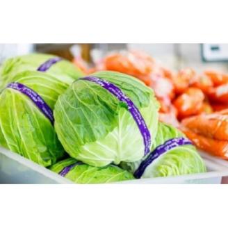 岩手町産の旬野菜セット 野菜 旬 やさい 新鮮 採れたて 詰合せ セット おまかせ