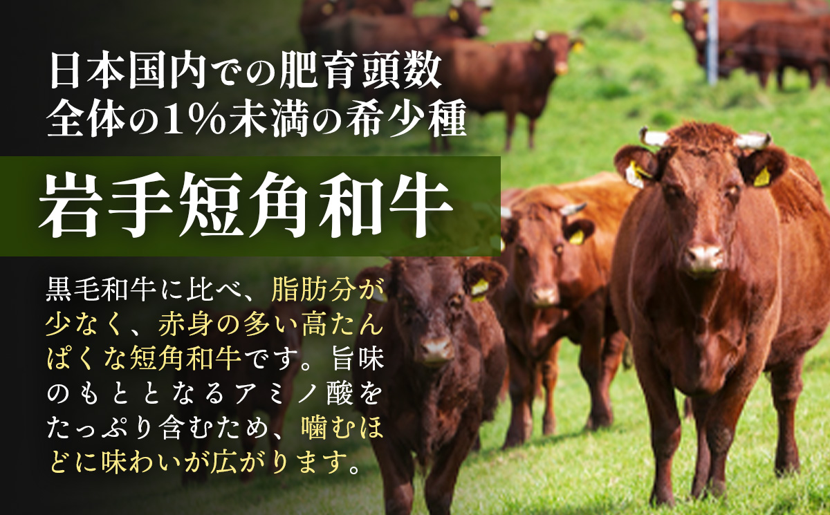 【岩手短角和牛】生ハム（セシーナ36ヶ月熟成）30g×3パック 長期熟成 生ハム セシーナ 和牛 受賞 つまみ 牛肉 肉 お肉 熟成 国産 令和の虎 通販の虎 日本の宝物 グランプリ受賞 岩手県 岩手町
