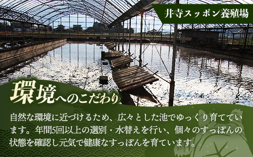 美味益気寿すっぽんスープ30缶 すっぽん スッポン 缶スープ すっぽん鍋 化学調味料不使用 便利 使いやすい ストック スープ 雑炊 茶碗蒸し 岩手県 岩手町 イワタニ