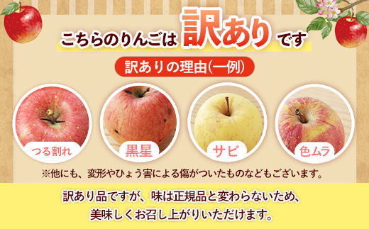 【訳あり】岩手町産りんご詰め合わせ約5kg 令和7年産 訳アリ 家庭用 規格外 不揃い りんご リンゴ サンふじ シナノゴールド シナノスイート 北斗 5kg フルーツ 果物 くだもの アップル 甘み 酸味 ジューシー セット 詰め合わせ 道の駅 産直 直送 岩手産 岩手町産 岩手県 岩手町 ふるさと振興公社