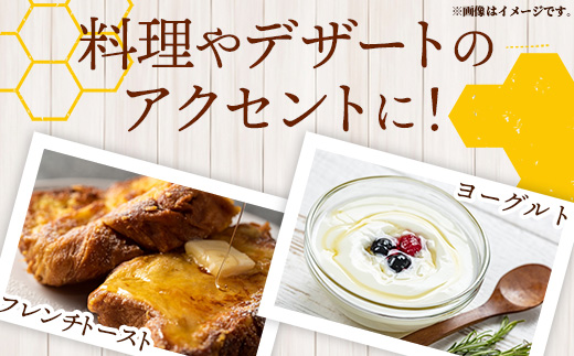 イーハトーブ養蜂場の風の森のはちみつ春の花々の香り300g はちみつ 蜂蜜 ハチミツ ハニー 春 桜 つつじ 藤 ブレンド イーハトーブ 養蜂 養蜂場 春の花々 香り 岩手県 岩手町 イーハトーブ養蜂場